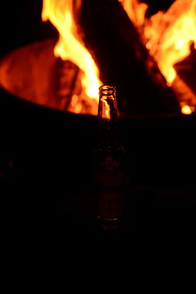 DSC_9880 (Large).JPG